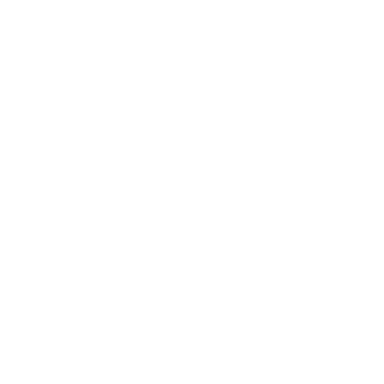 Arrow Down Icon